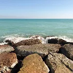 - Moncofa Moncófar