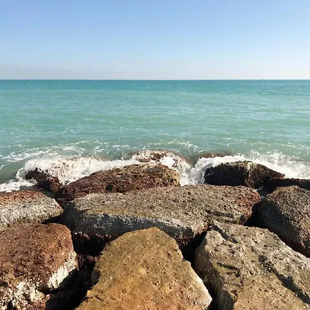 - Moncofa 몬코파르